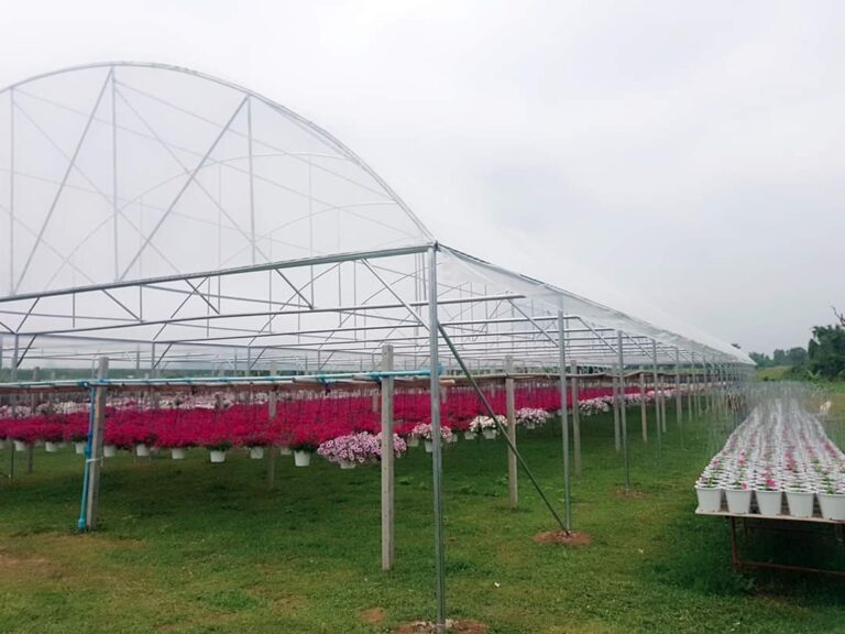 โรงเรือนปลูกไม้ดอกมาตรฐานสูง พร้อมบริการให้คำปรึกษาโดยทีมงาน CKES Green
