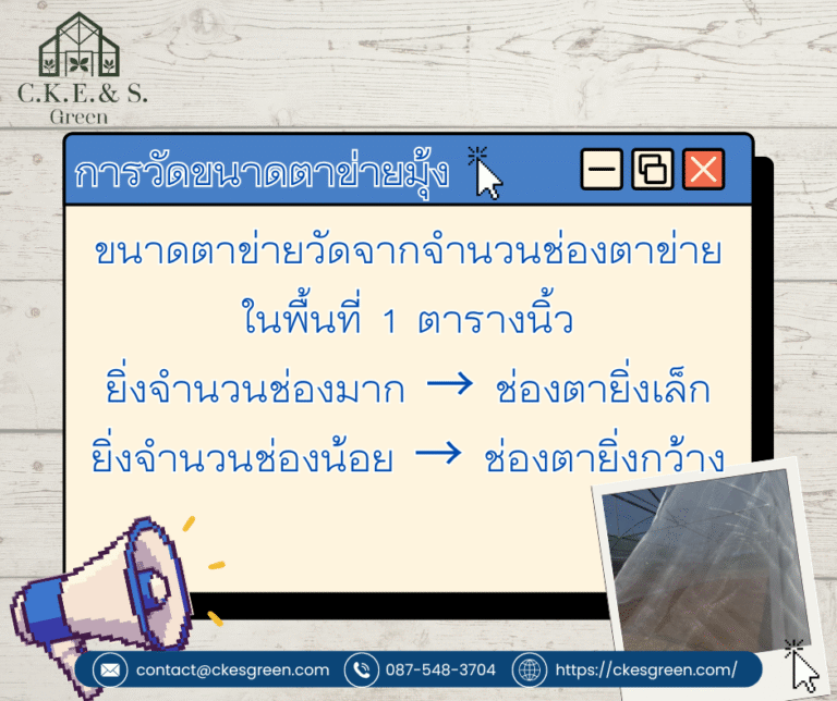 รูปมุ้งโรงเรือนควรมีกี่ตา2